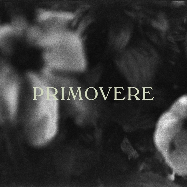 Primovere<small></small>