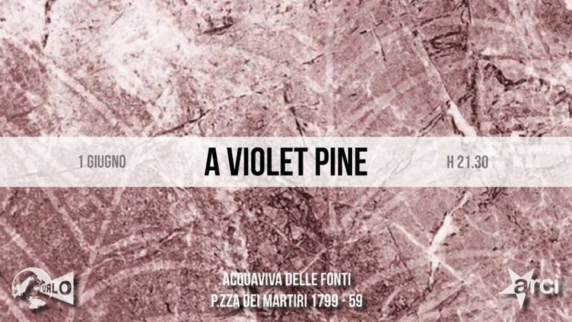 A Violet Pine, la band pugliese presenta il nuovo album 